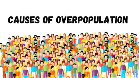 Why Overpopulation Is A Problem: Causes, .